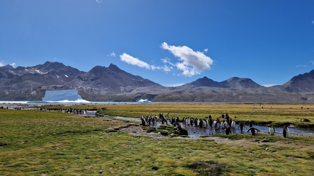 HDS26-25, Day 8, 20250111_094230 © Unknown photographer - Oceanwide Expeditions.jpg