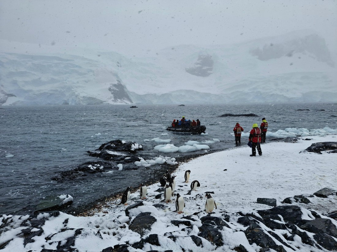 HDS26-25, Day 13, 20250116_082432 © Unknown photographer - Oceanwide Expeditions.jpg