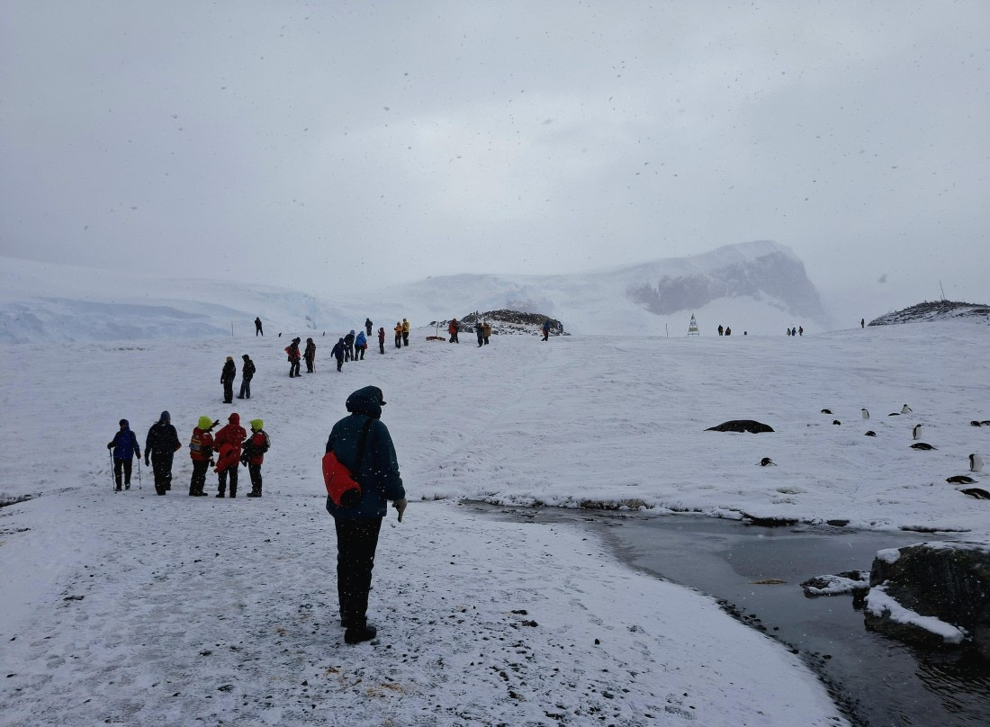 HDS26-25, Day 13, 20250116_091035 © Unknown photographer - Oceanwide Expeditions.jpg