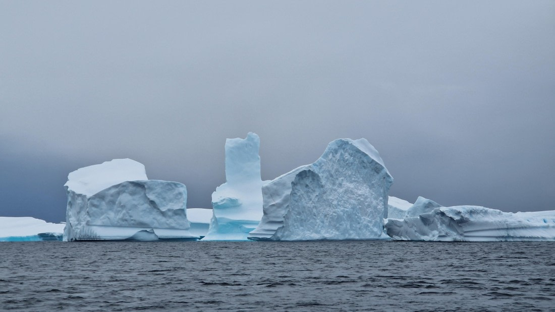HDS26-25, Day 14, 20250117_074415 © Unknown photographer - Oceanwide Expeditions.jpg