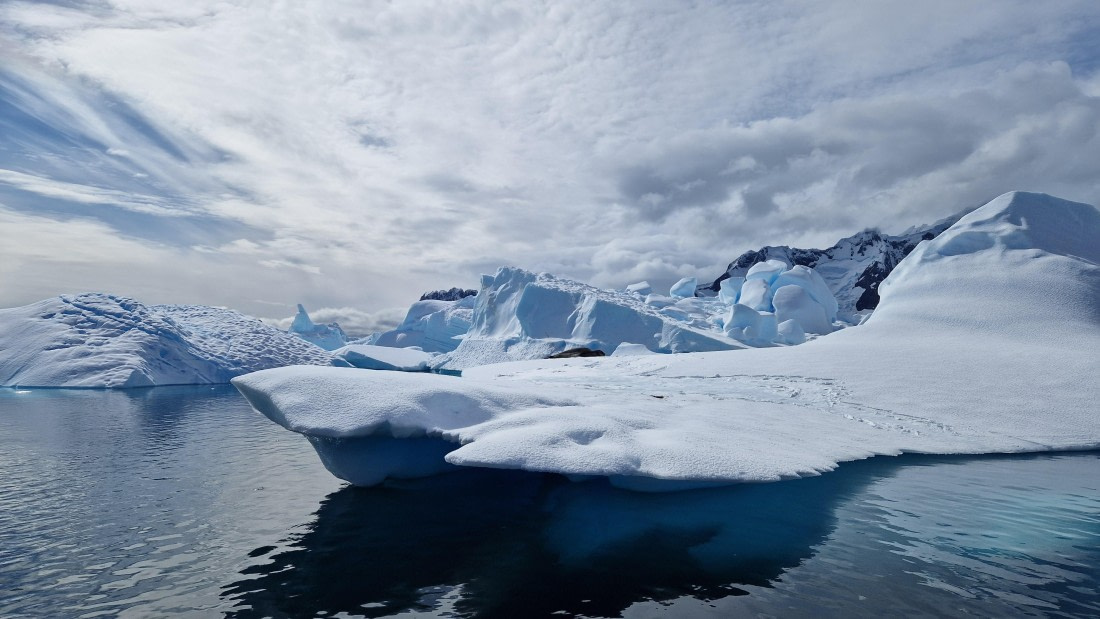 HDS26-25, Day 14, 20250117_110048 © Unknown photographer - Oceanwide Expeditions.jpg