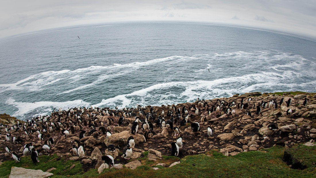 HDS26-25, Day 3, PAZ_9357 © Alexander Romanovskiy - Oceanwide Expeditions.jpg