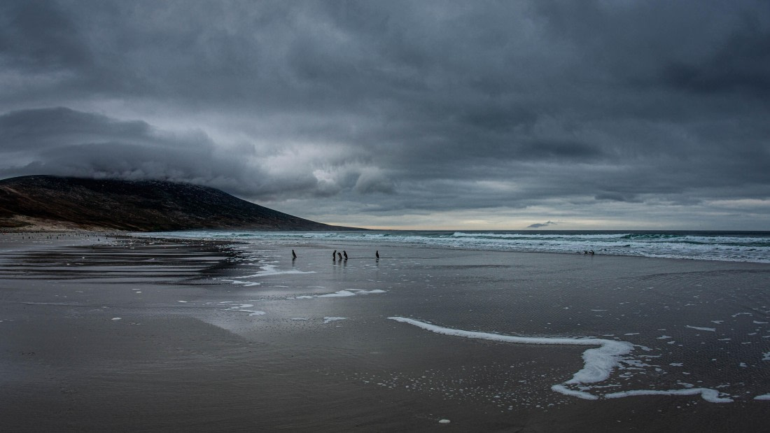 HDS26-25, Day 3, PAZ_9360 © Alexander Romanovskiy - Oceanwide Expeditions.jpg