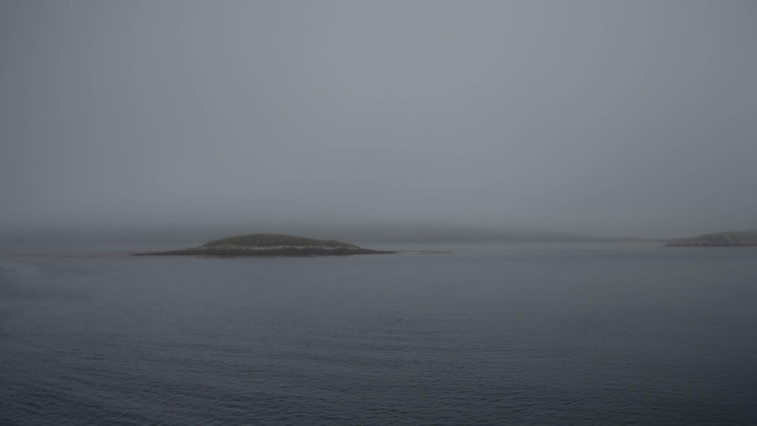 HDS26-25, Day 3, RLO_0560 © Alexander Romanovskiy - Oceanwide Expeditions.jpg