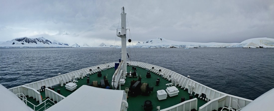 HDS27-25, Day 7, 20250128_071839 © Unknown photographer - Oceanwide Expeditions.jpg