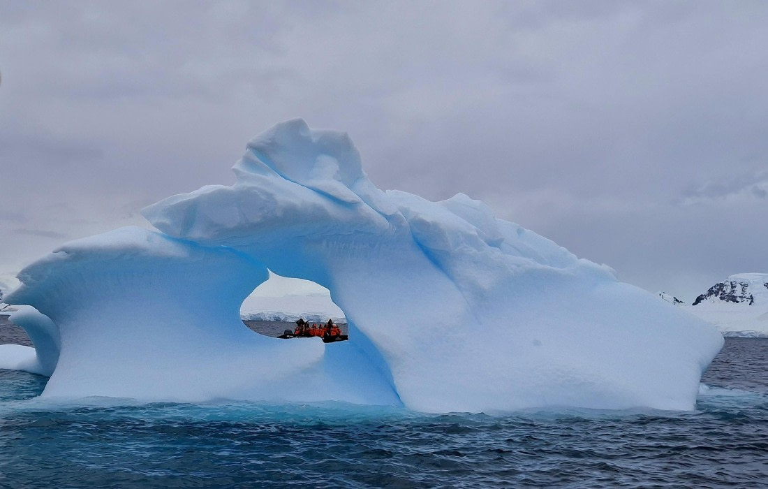 HDS27-25, Day 7, 20250128_092642 © Unknown photographer - Oceanwide Expeditions.jpg