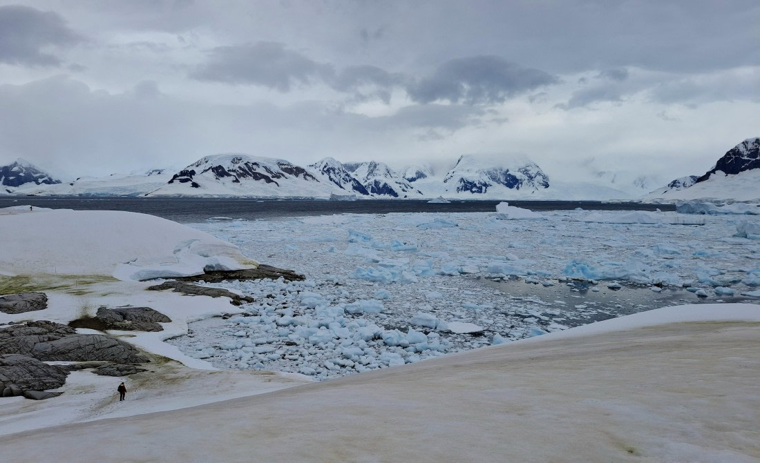 HDS27-25, Day 7, 20250128_135241 © Unknown photographer - Oceanwide Expeditions.jpg