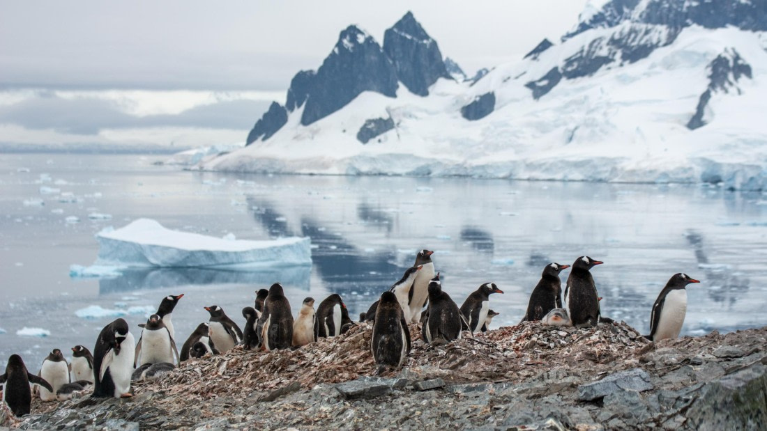 HDS27-25, Day 4, _DSC9207 © Unknown photographer - Oceanwide Expeditions.jpg