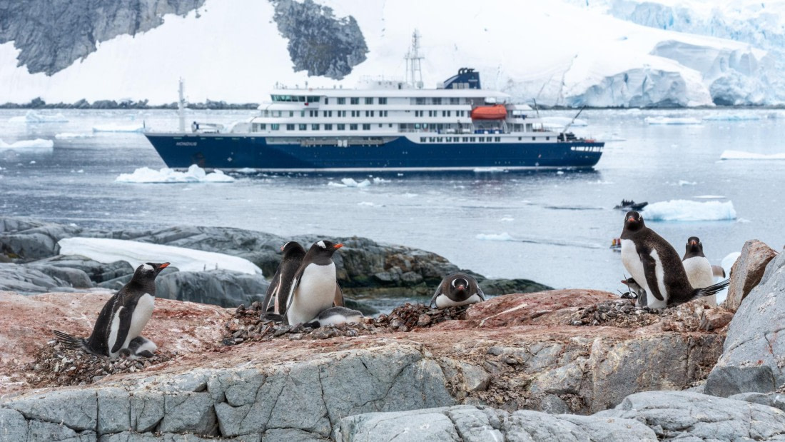 HDS27-25, Day 5, _DSC9323 © Unknown photographer - Oceanwide Expeditions.jpg
