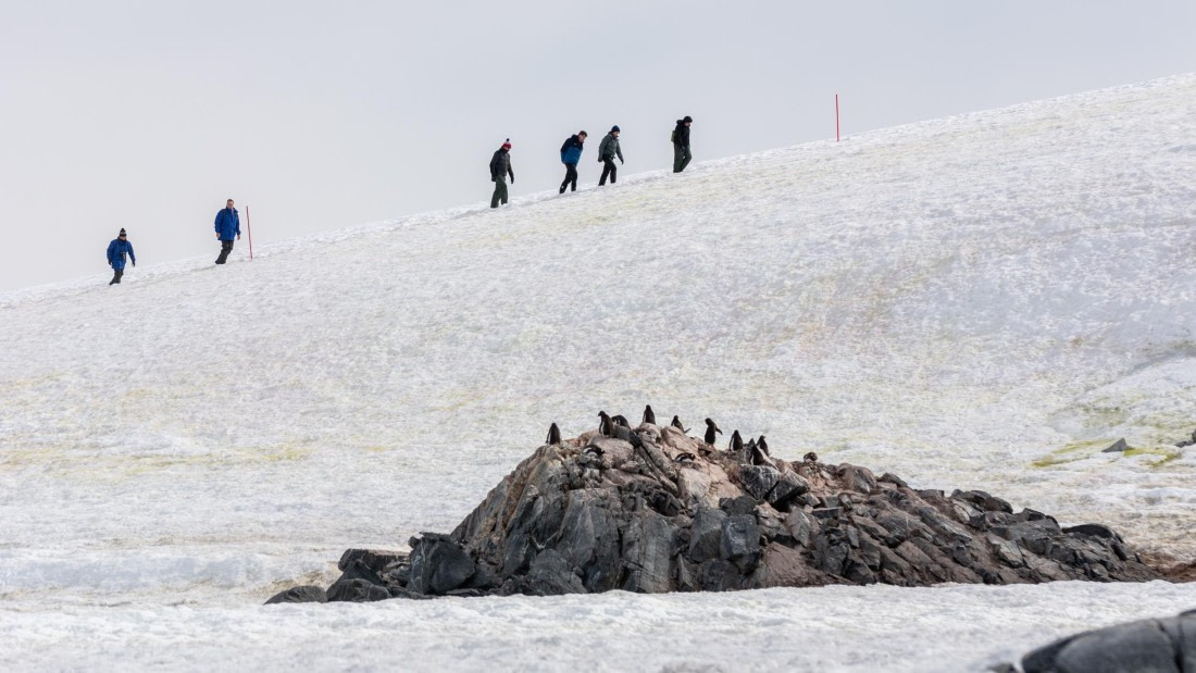 HDS27-25, Day 5, _DSC9385 © Unknown photographer - Oceanwide Expeditions.jpg