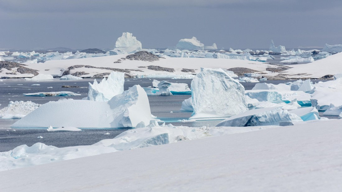 HDS27-25, Day 5, _DSC9392 © Unknown photographer - Oceanwide Expeditions.jpg