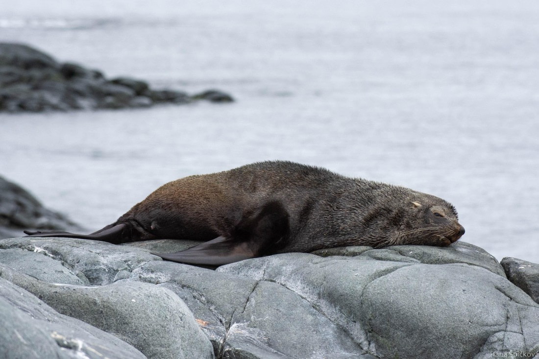 OTL28-25, Day 4, _DSC5344 © Hana Spickova - Oceanwide Expeditions.jpg