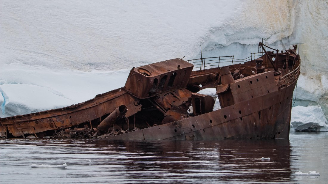 OTL28-25, Day 4, IMG_6570 © Unknown photographer - Oceanwide Expeditions.jpg