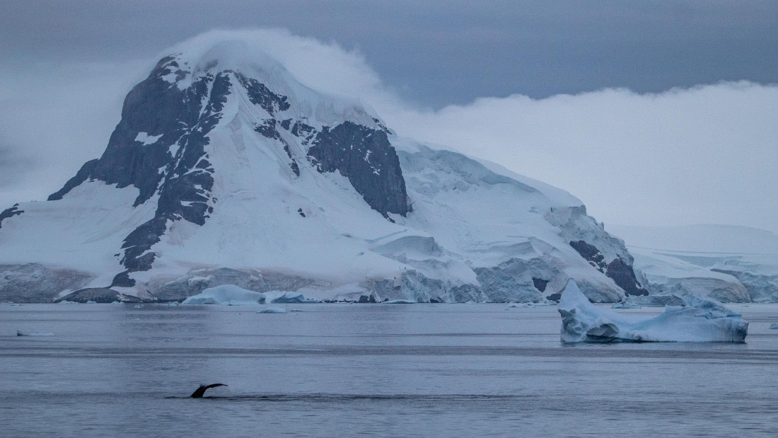 OTL28-25, Day 4, IMG_6680 © Unknown photographer - Oceanwide Expeditions.jpg