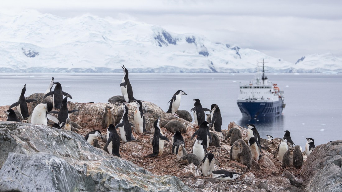 OTL28-25, Day 4, Palaver Point 1 © Sara Jenner - Oceanwide Expeditions.jpg