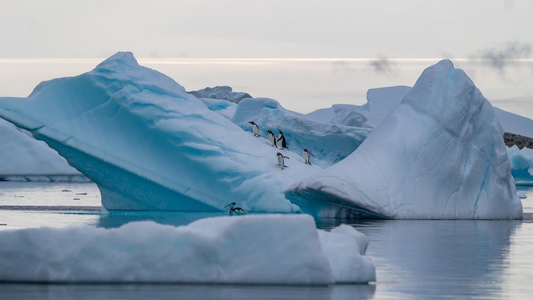 OTL28-25, Day 6, IMG_6785 © Unknown photographer - Oceanwide Expeditions.jpg