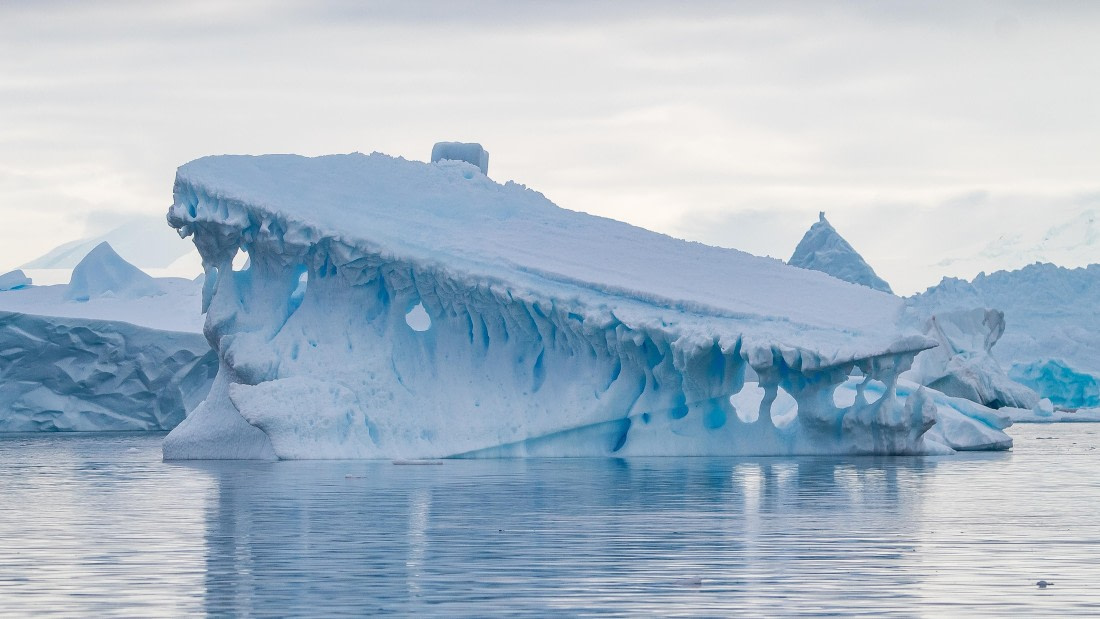 OTL28-25, Day 6, IMG_6799 © Unknown photographer - Oceanwide Expeditions.jpg