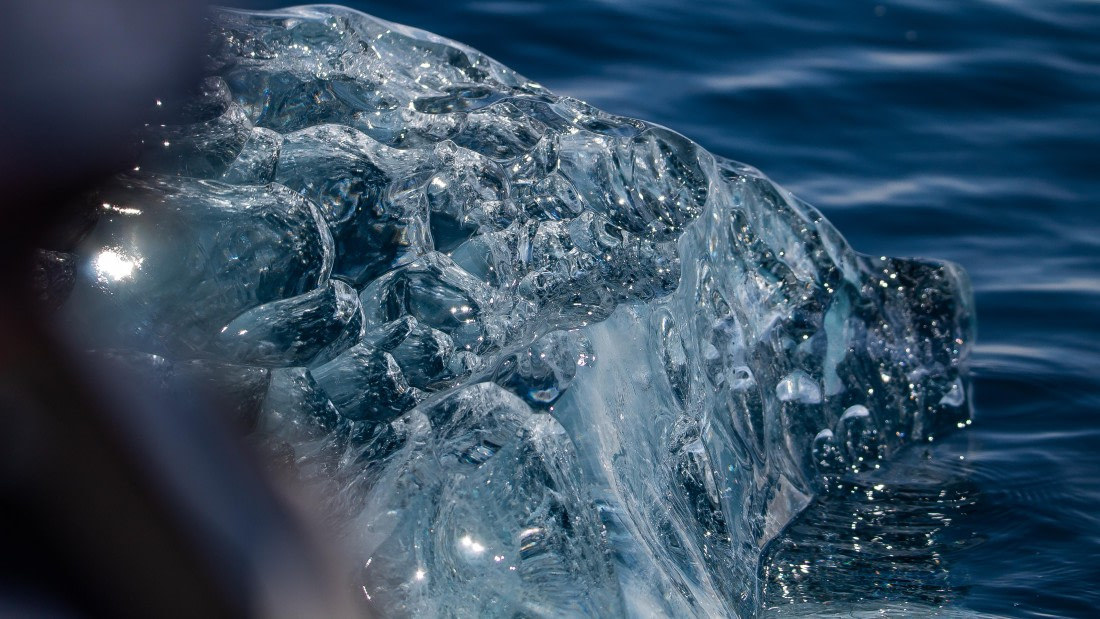 OTL28-25, Day 6, IMG_6924 © Unknown photographer - Oceanwide Expeditions.jpg