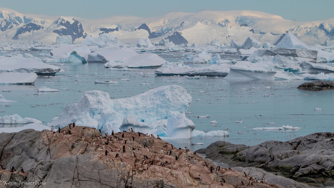 OTL28-25, Day 6, IMG_6961 © Koen Jongerling - Oceanwide Expeditions.jpg