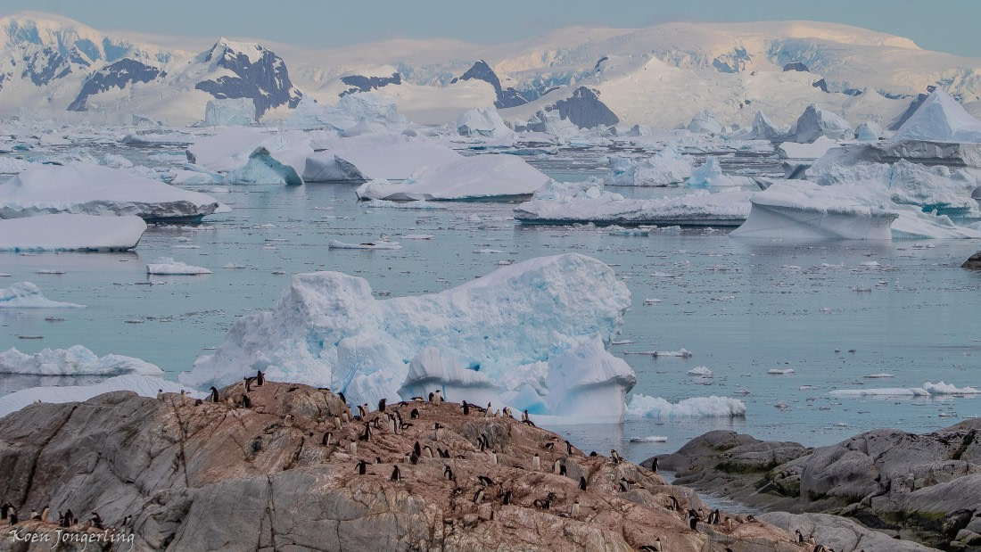 OTL28-25, Day 6, IMG_6964 © Koen Jongerling - Oceanwide Expeditions.jpg