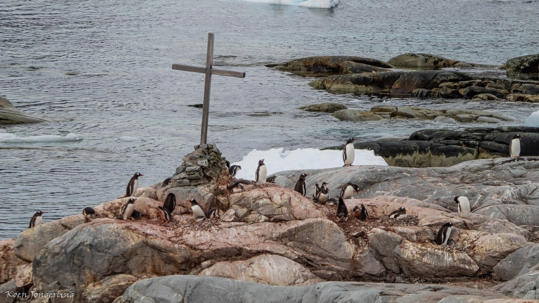 OTL28-25, Day 6, IMG_6967 © Koen Jongerling - Oceanwide Expeditions.jpg