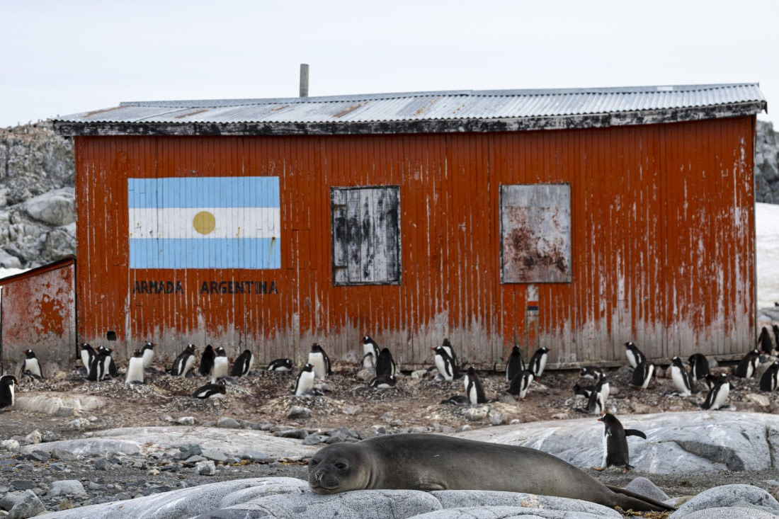 OTL28-25, Day 6, Petermann Island 3 © Sara Jenner - Oceanwide Expeditions.jpg
