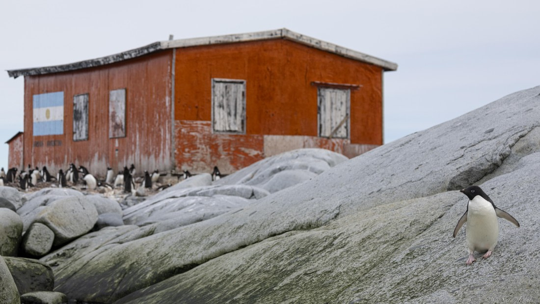 OTL28-25, Day 6, Petermann Island 5 © Sara Jenner - Oceanwide Expeditions.jpg