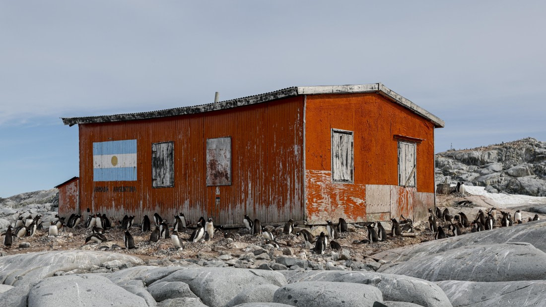 OTL28-25, Day 6, Petermann Island 8 © Sara Jenner - Oceanwide Expeditions.jpg