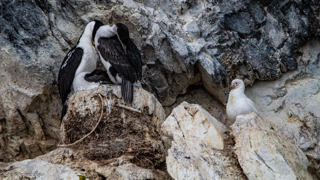 OTL28-25, Day 7, IMG_7024 © Koen Jongerling - Oceanwide Expeditions.jpg