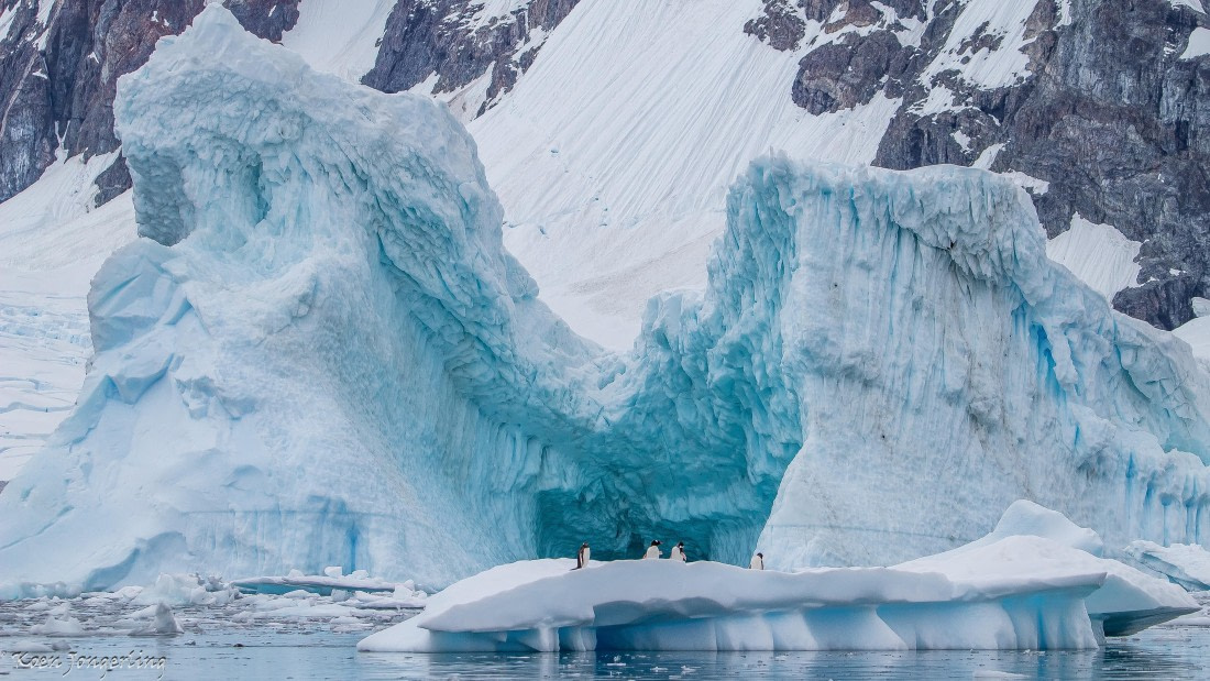 OTL28-25, Day 7, IMG_7056 © Koen Jongerling - Oceanwide Expeditions.jpg