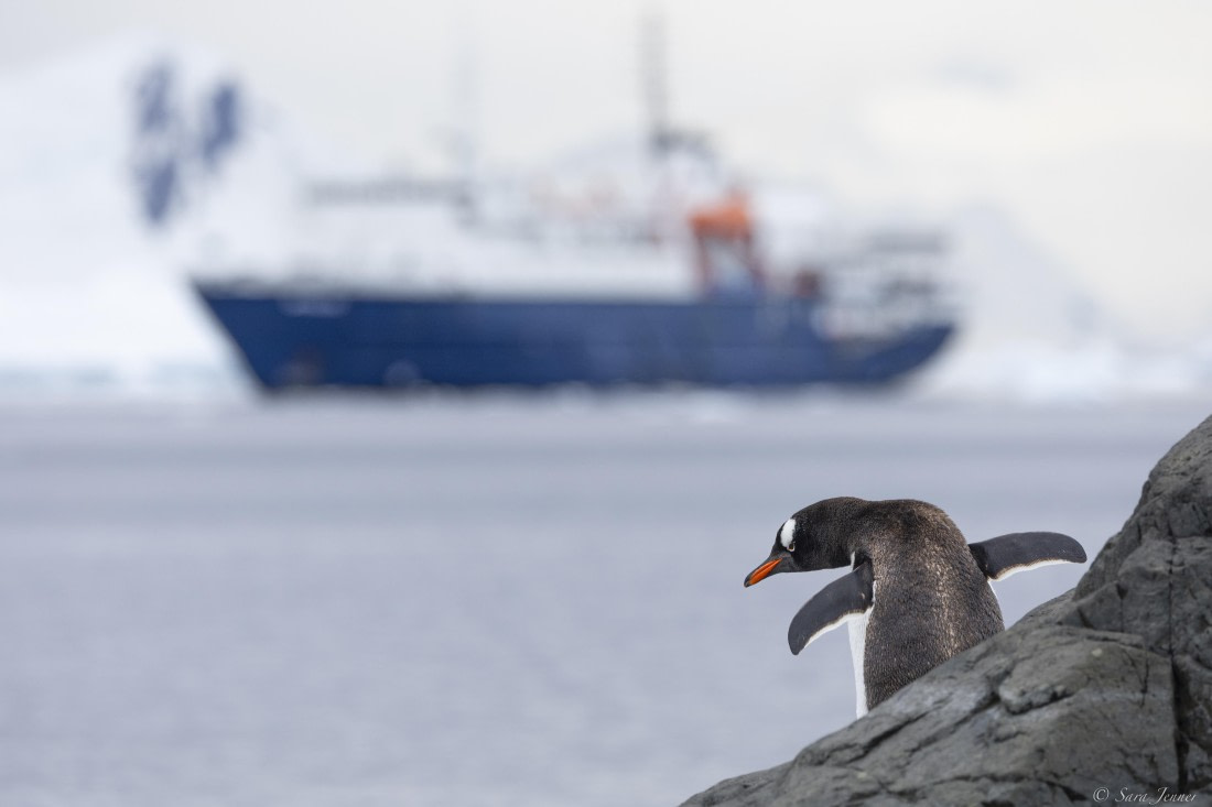 OTL28-25, Day 7, Stony Point 1 © Sara Jenner - Oceanwide Expeditions.jpg