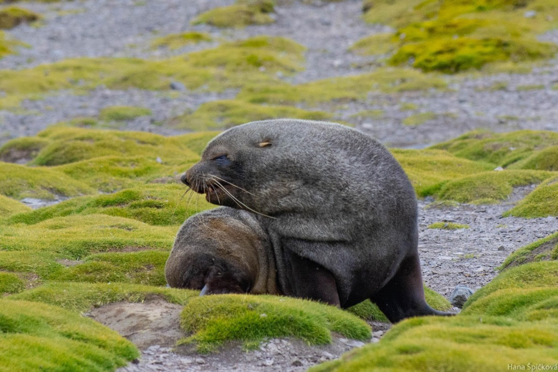 OTL28-25, Day 8, _DSC6186 © Hana Spickova - Oceanwide Expeditions.jpg