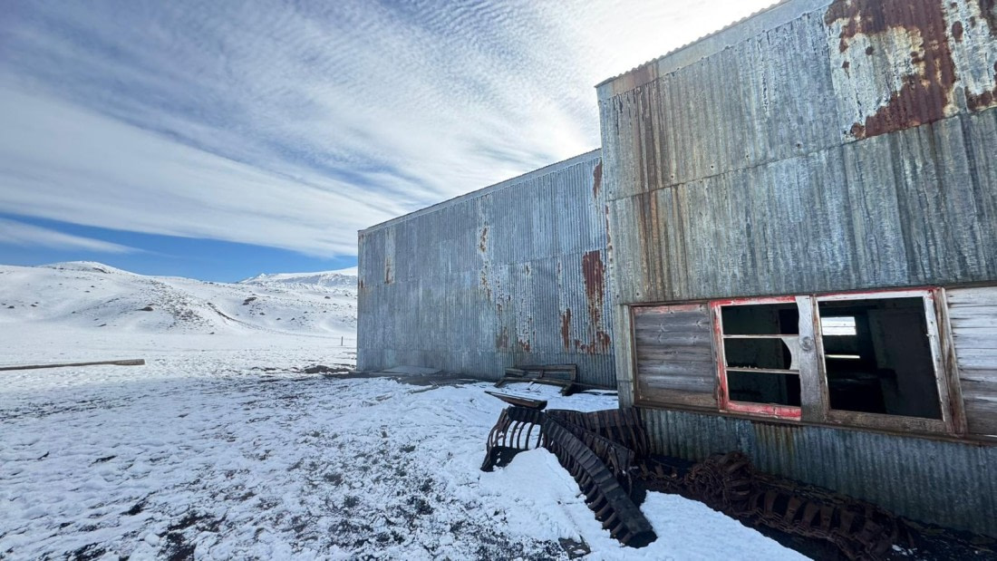 OTL28-25, Day 8, 82c667e4-f6df-4920-b68e-4ebb934c42d9 © Unknown photographer - Oceanwide Expeditions.jpg