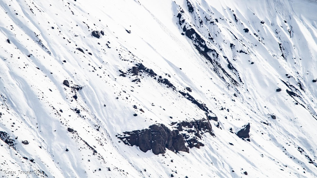 OTL28-25, Day 8, IMG_7174 © Koen Jongerling - Oceanwide Expeditions.jpg