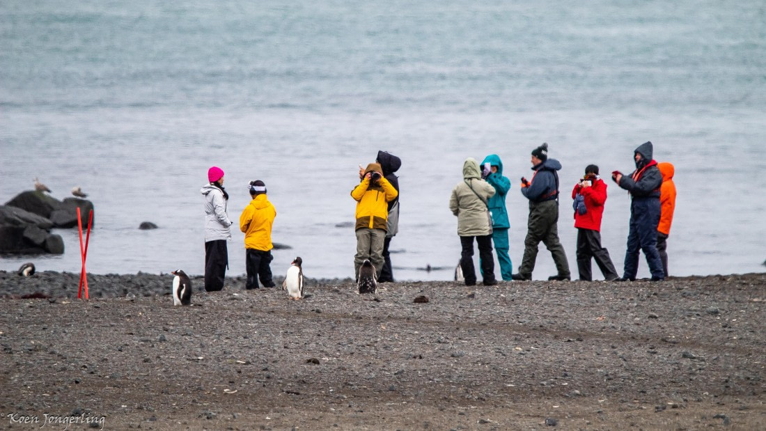 OTL28-25, Day 8, IMG_7240 © Koen Jongerling - Oceanwide Expeditions.jpg