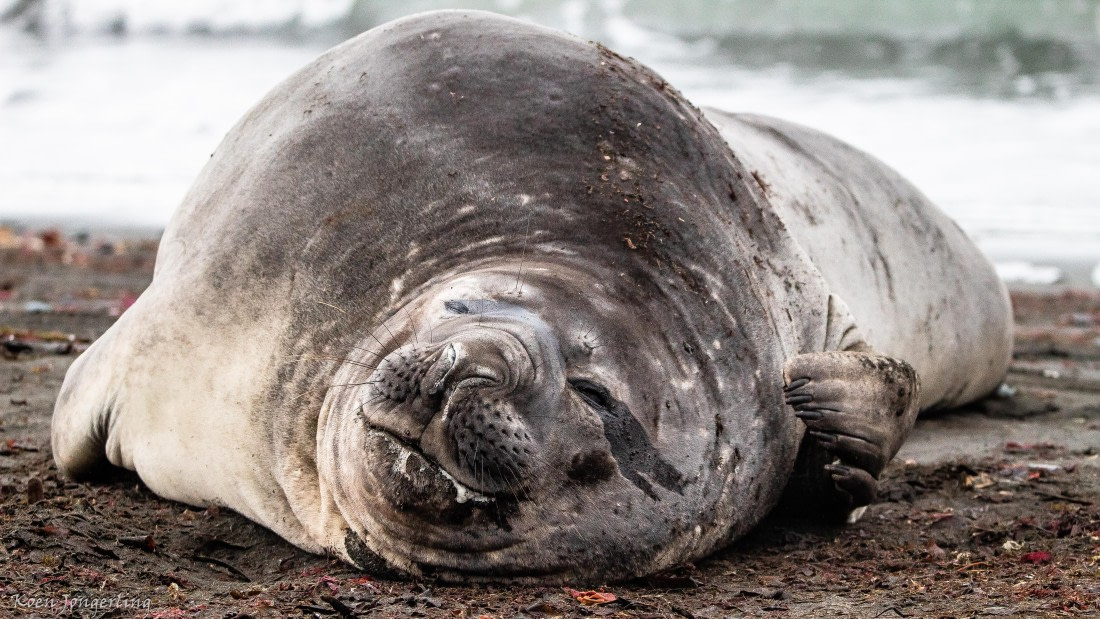 OTL28-25, Day 8, IMG_7373 © Koen Jongerling - Oceanwide Expeditions.jpg