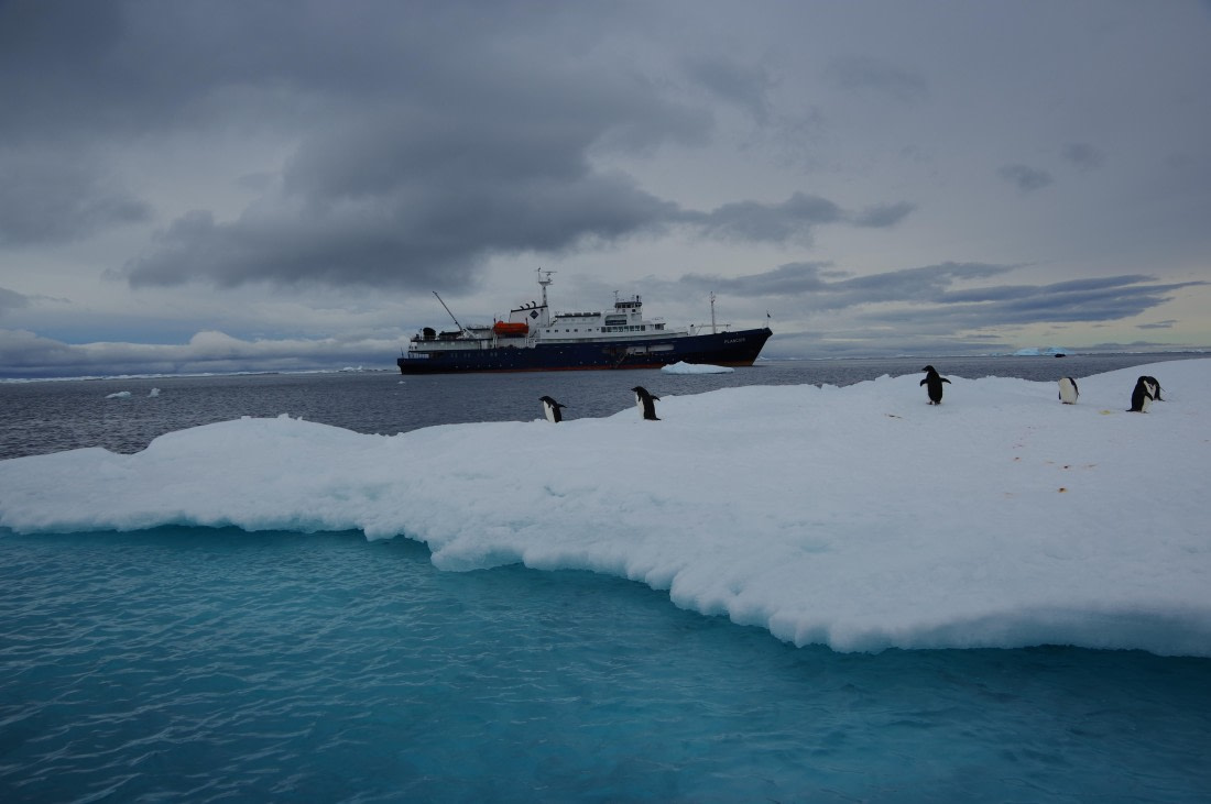 PLA27-25, Day 15, IMGP3170 © Unknown photographer - Oceanwide Expeditions.JPG
