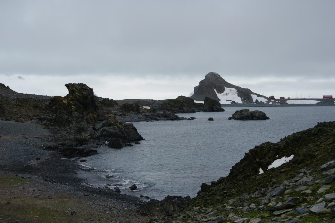 PLA27-25, Day 16, IMGP3182 © Unknown photographer - Oceanwide Expeditions.JPG