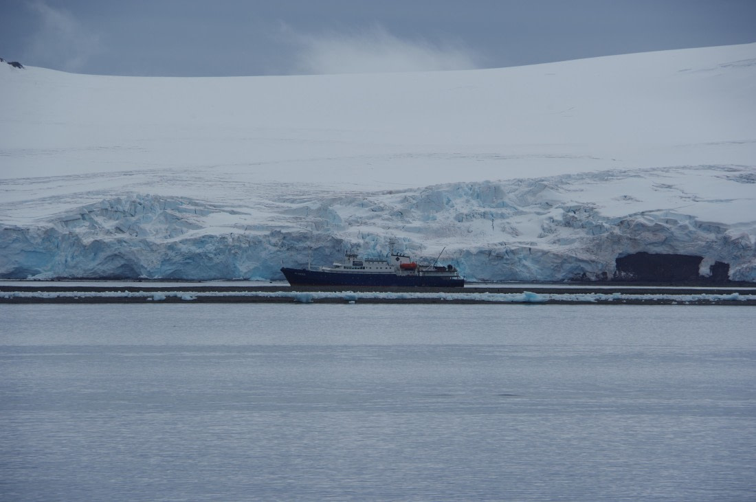 PLA27-25, Day 16, IMGP3249 © Unknown photographer - Oceanwide Expeditions.JPG