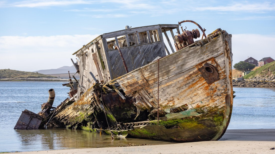 PLA27-25, Day 3, 766A7145 © Susanne Polap - Oceanwide Expeditions.jpg