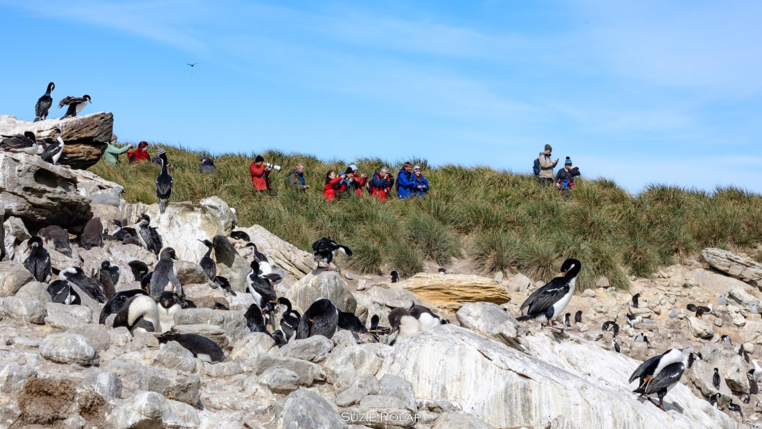 PLA27-25, Day 3, 766A7448 © Susanne Polap - Oceanwide Expeditions.jpg