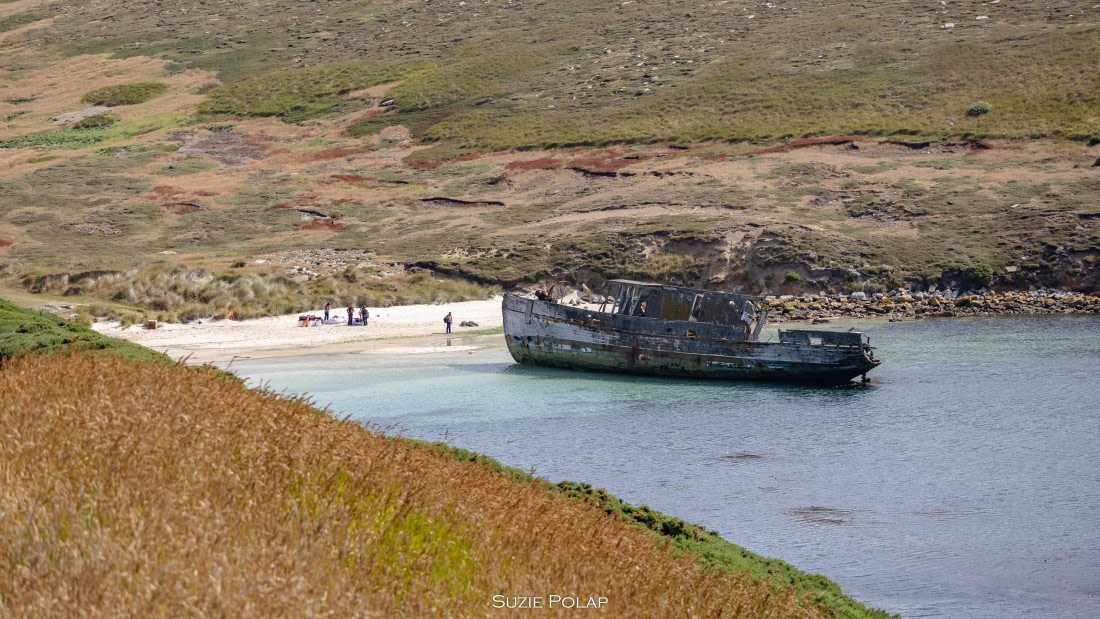 PLA27-25, Day 3, 766A7484 © Susanne Polap - Oceanwide Expeditions.jpg