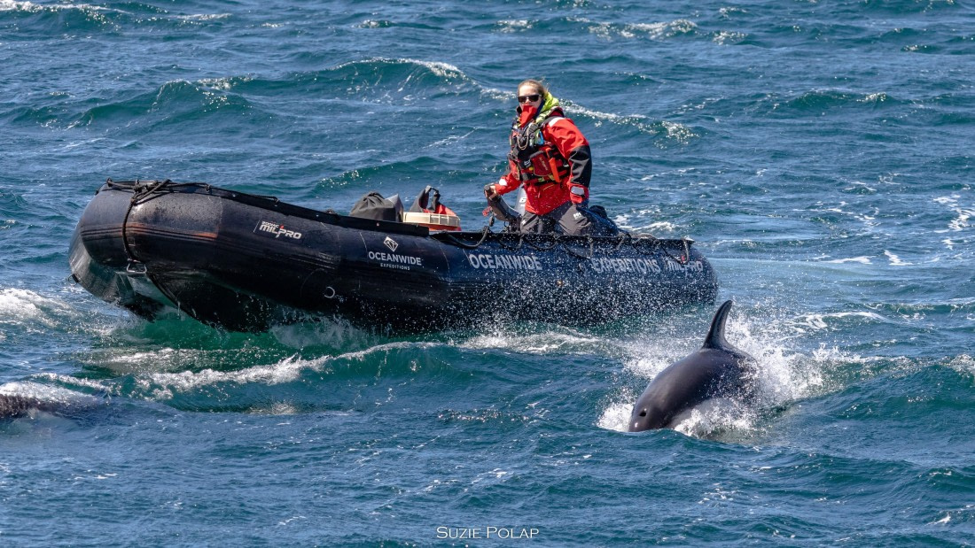 PLA27-25, Day 3, 766A8007 © Susanne Polap - Oceanwide Expeditions.jpg