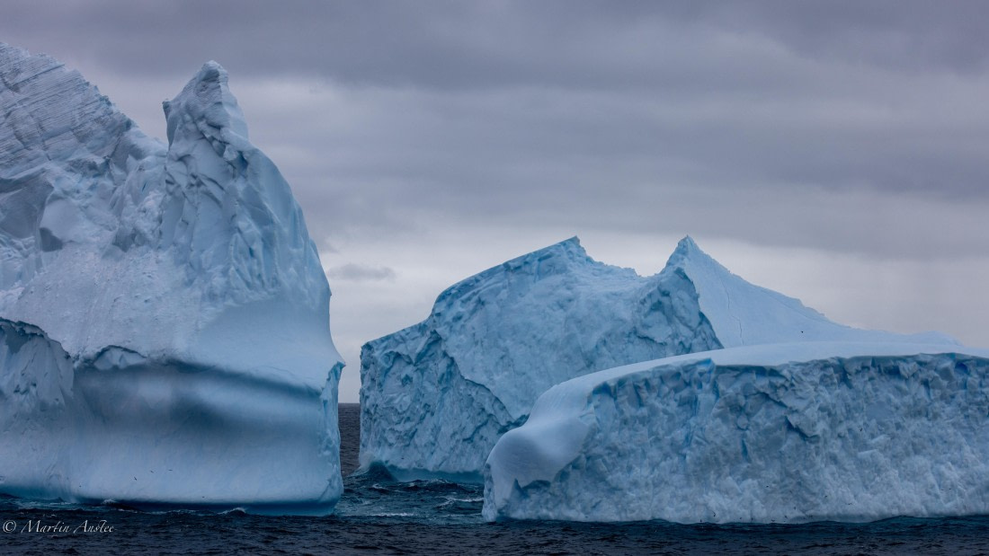 PLA27-25, Day 7, 088A5657 © Martin Anstee - Oceanwide Expeditions.jpg