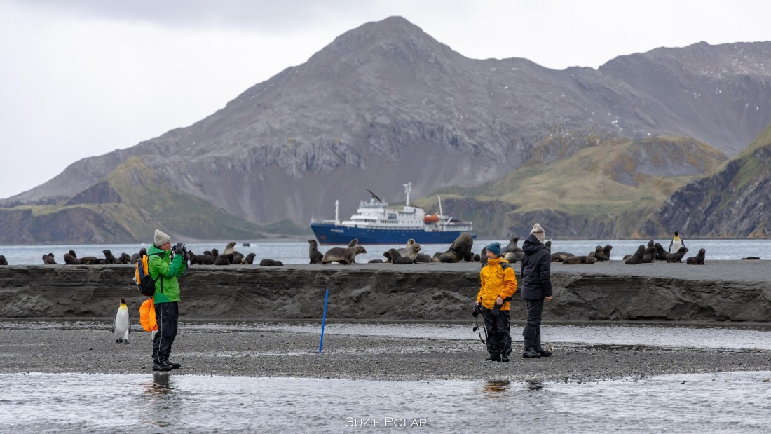 PLA27-25, Day 7, 766A8651 © Susanne Polap - Oceanwide Expeditions.jpg