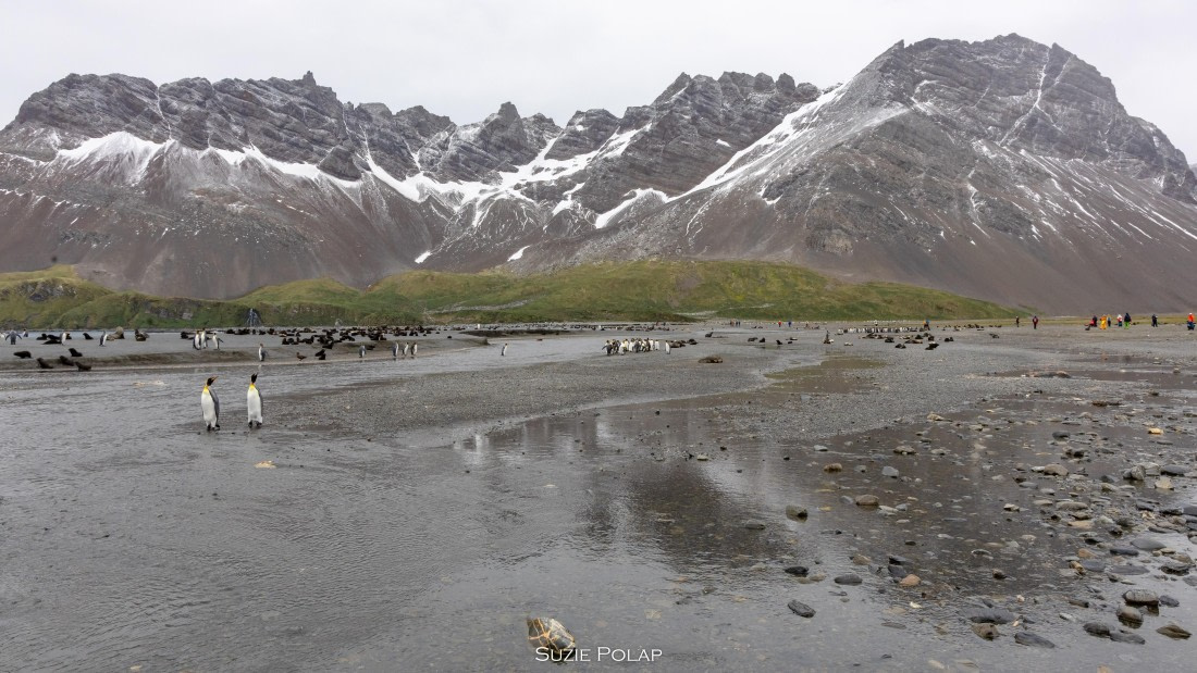 PLA27-25, Day 7, 766A8705 © Susanne Polap - Oceanwide Expeditions.jpg