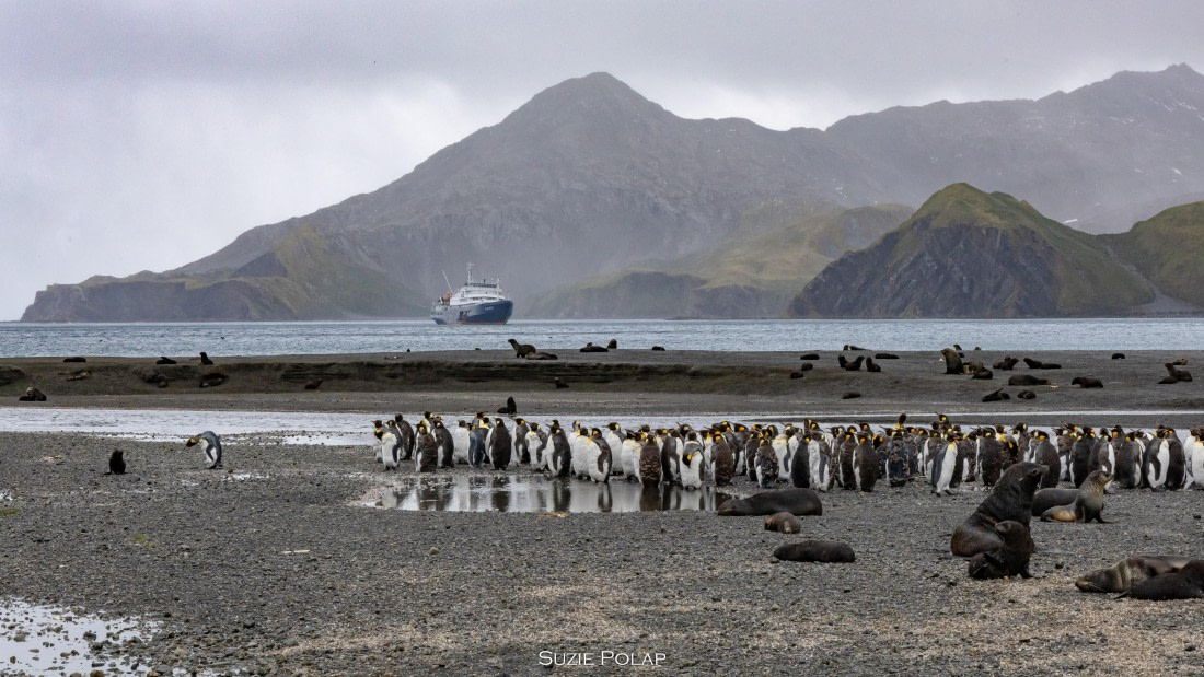 PLA27-25, Day 7, 766A8973 © Susanne Polap - Oceanwide Expeditions.jpg