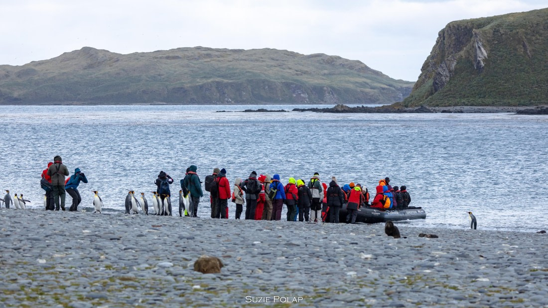 PLA27-25, Day 7, 766A9531 © Susanne Polap - Oceanwide Expeditions.jpg