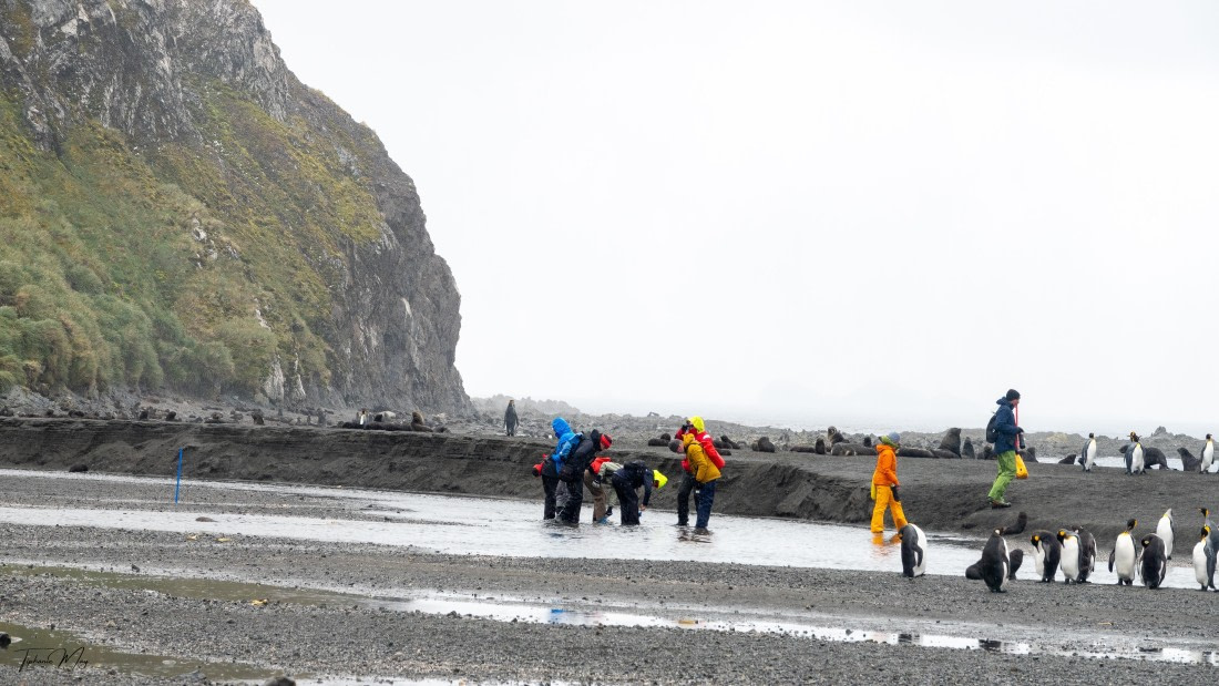 PLA27-25, Day 7, DSC01064 © Tiphanie May - Oceanwide Expeditions.jpg