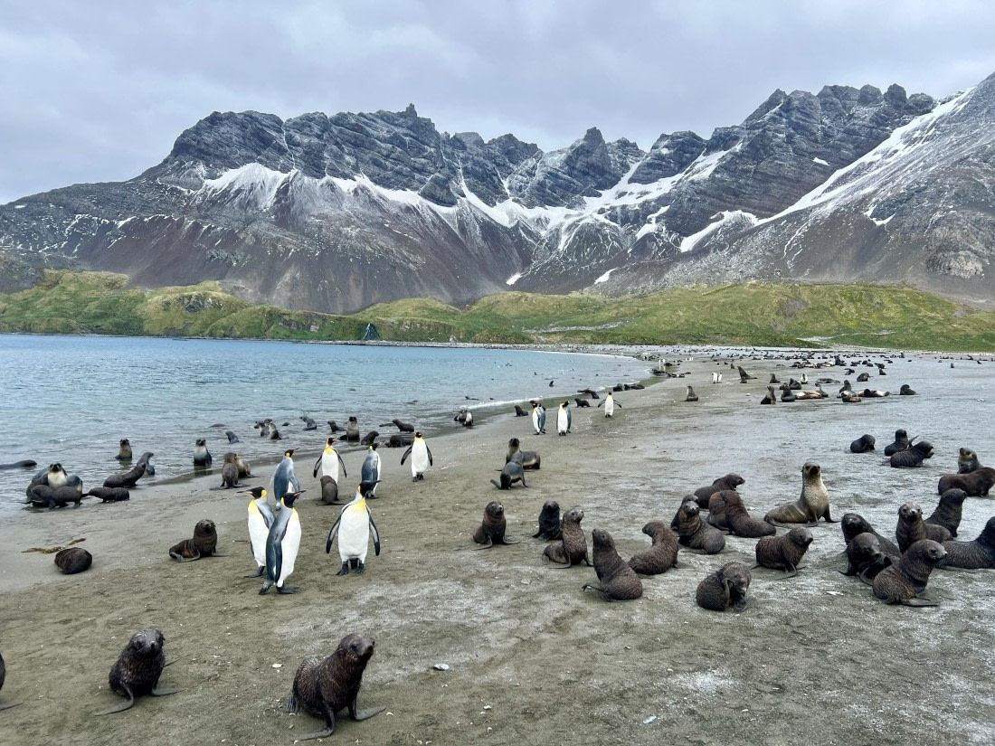 PLA27-25, Day 7, IMG_0714 © Unknown photographer - Oceanwide Expeditions.JPG